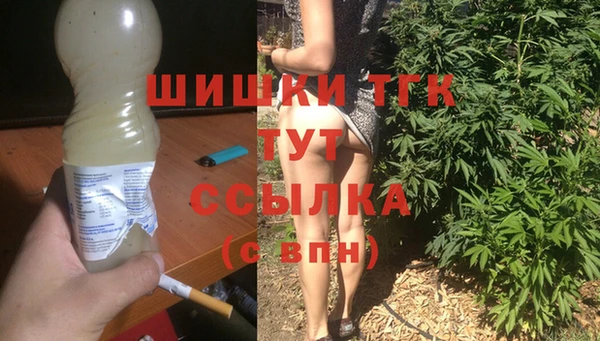 спиды Аркадак