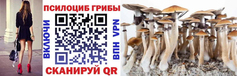 Галлюциногенные грибы GOLDEN TEACHER Чудово